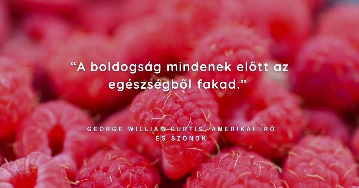 Idézetek az egészségről: A boldogság az egészségből fakad.
